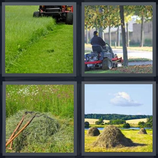 4 Pics 1 Word Answer For Lawn Cut Grass Hay