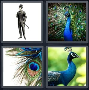 4 pics 1 word 5 letters peacock