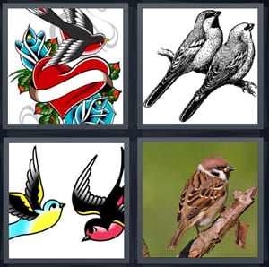 4 Pics 1 Word Answers For Heart Birds Tattoo Chick